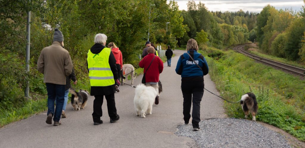 Koirat ja ihmiset kävelee tukikoirakko kävelyllä Lohjan Virkkalassa