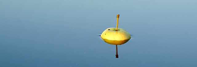 Keltainen omena kelluu vedessä